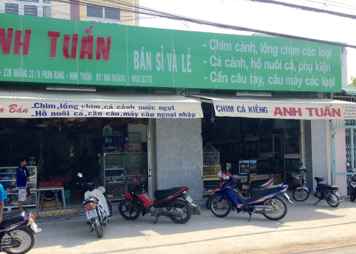 cua-hang-ban-ca-canh-uy-tin-tai-ninh-thuan