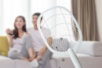 Top 10 địa chỉ bán vợt bắt muỗi uy tín tại Vũng Tàu
